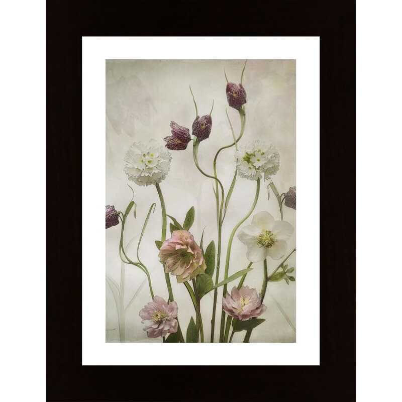 Spring Garden Poster