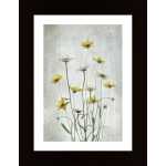 Summer Flowers Poster
