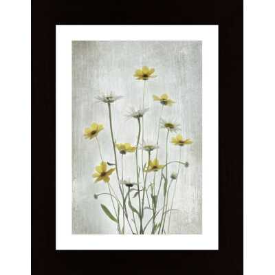 Summer Flowers Poster
