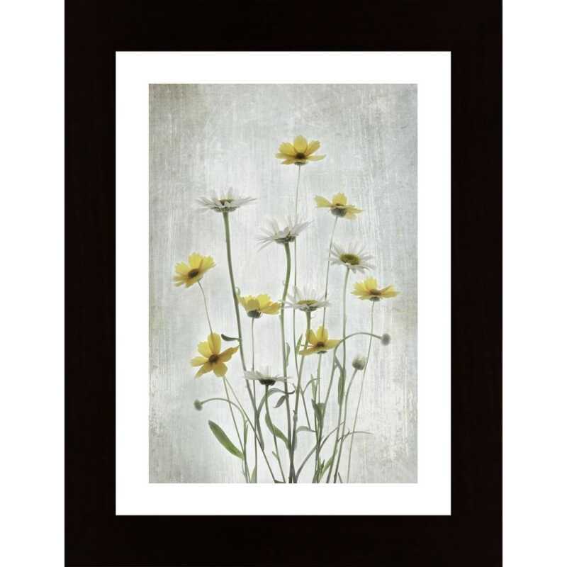 Summer Flowers Poster