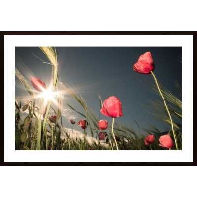Summer Is Here Poster