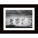 Sunrise On The Lake Poster