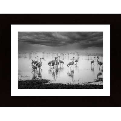 Sunrise On The Lake Poster