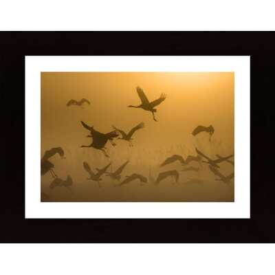 Sunrise With Cranes Poster