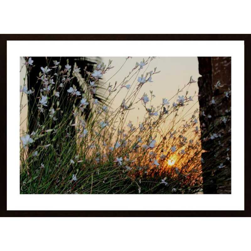 Sunset In Sea Poster