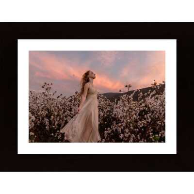 Sunset In The Cotton Field Poster