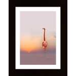 Sunset Poster