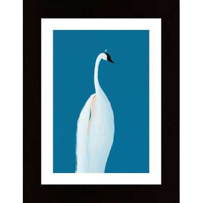 Swan Maybe Poster