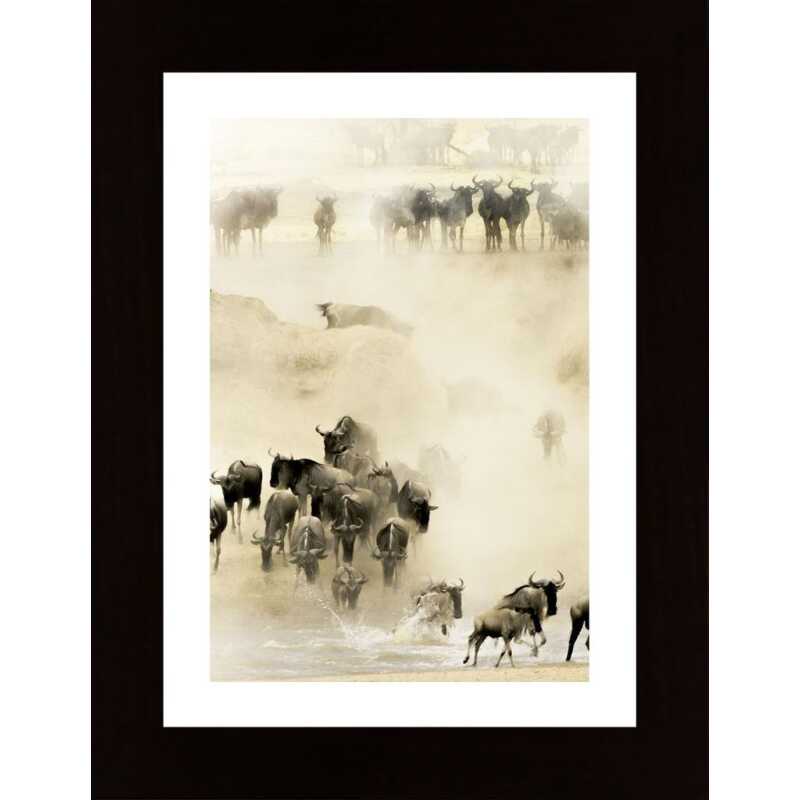 Swarming Poster