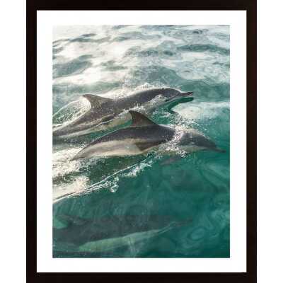 Swimming Dolphins In The Sea Poster