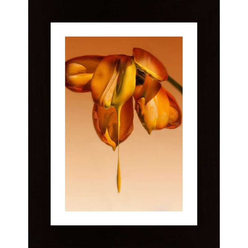 Tears Of A Flower Poster