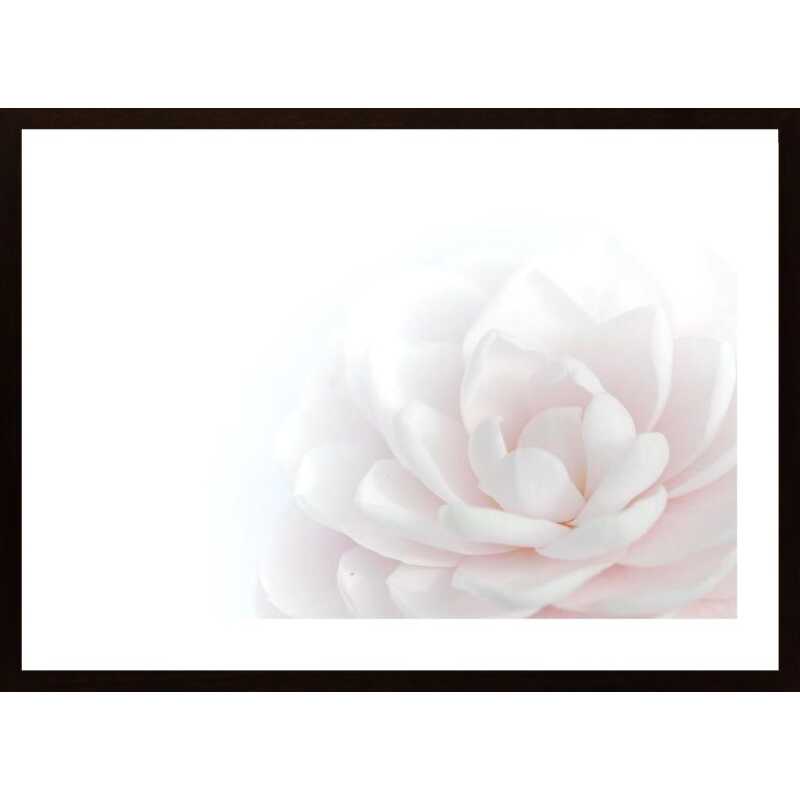 Tender Beauty Poster