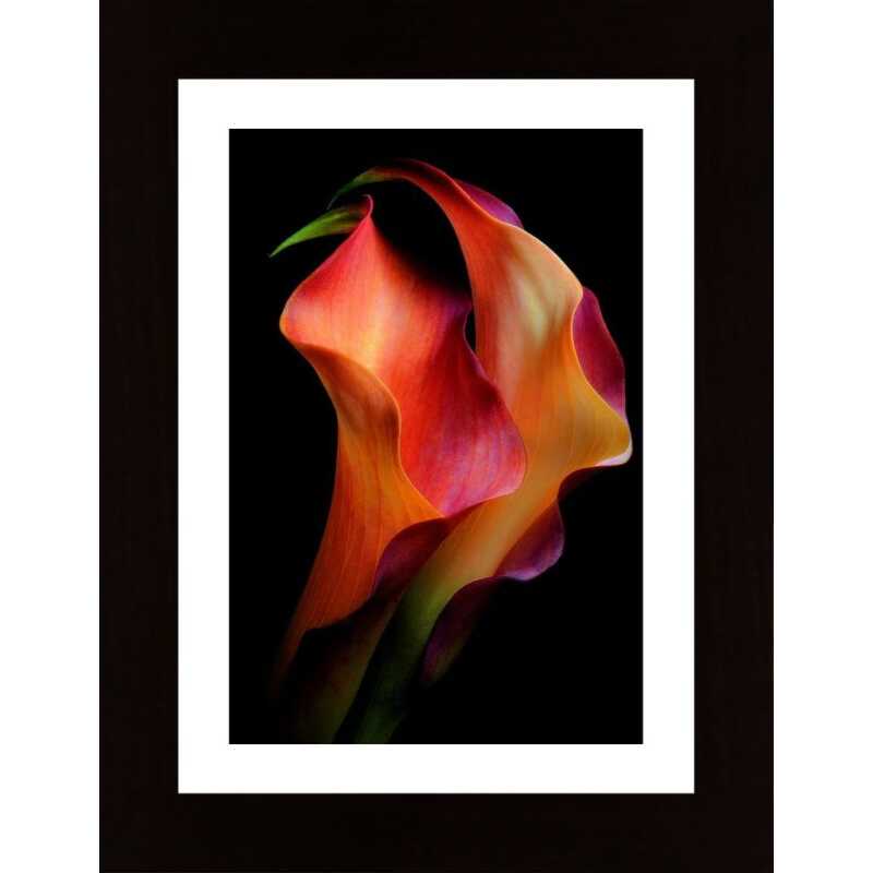 Tenderness Poster