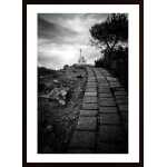 The Avenue Poster