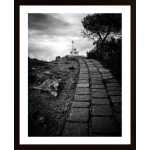 The Avenue Poster