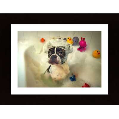 The Bath Poster