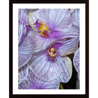The Beauty Of Purple Poster