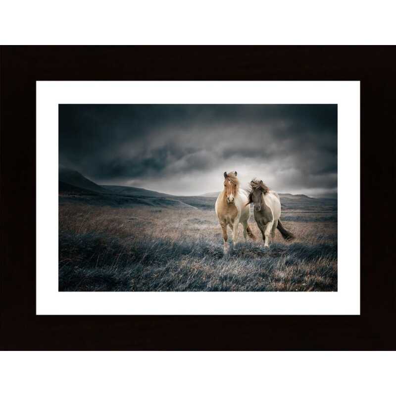 The Brothers Poster