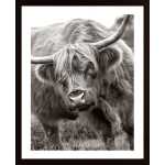 The Bull Poster