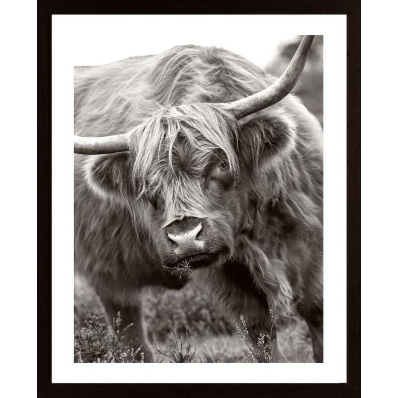 The Bull Poster