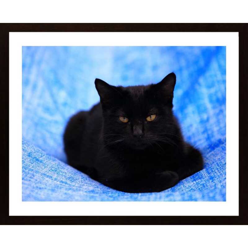 The Cat Poster
