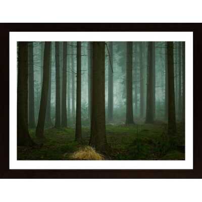 The Cold, Dark Days Of Winter Poster
