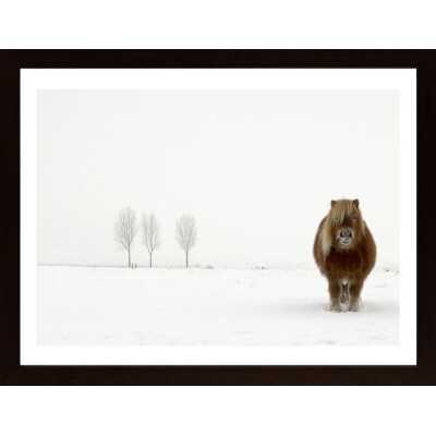 The Cold Pony Poster