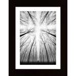 The Cross Poster