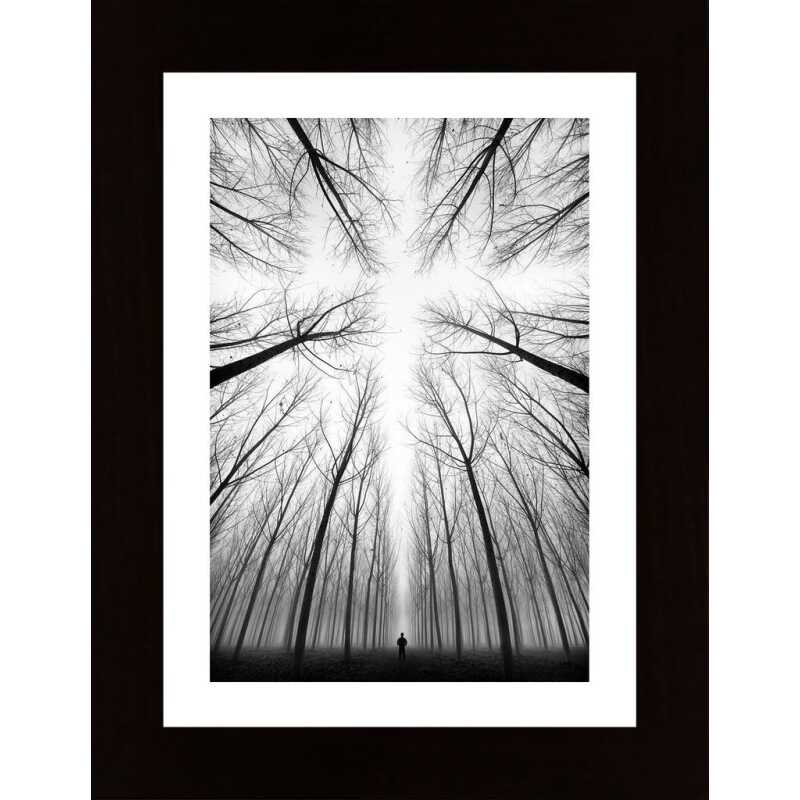 The Cross Poster