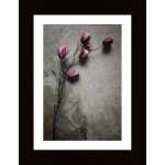 The Elegant Tulip Poster