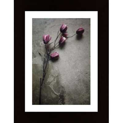 The Elegant Tulip Poster