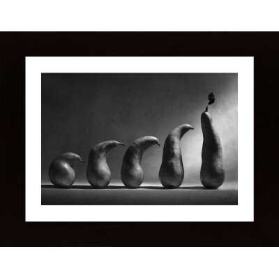 The Evolution Poster