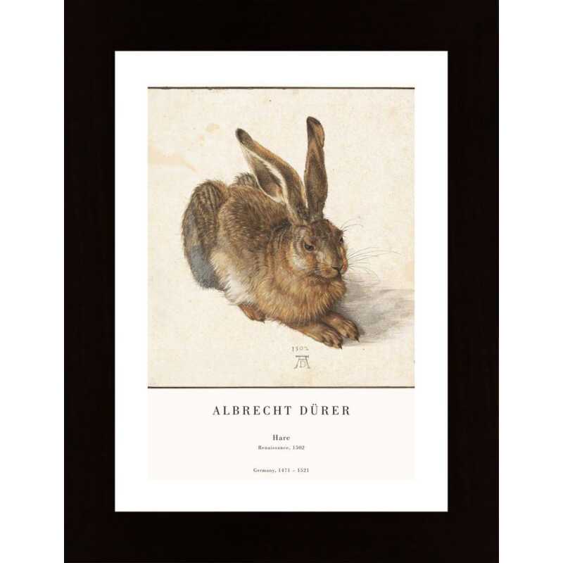 The Hare Poster