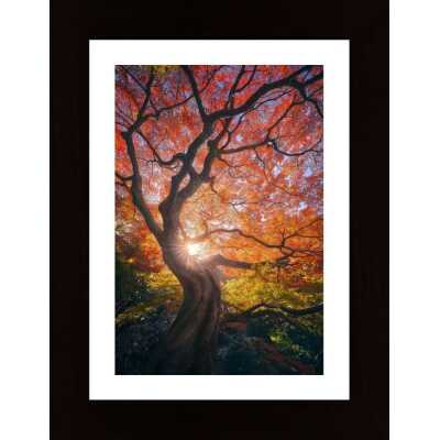 The Japanese Tree Poster