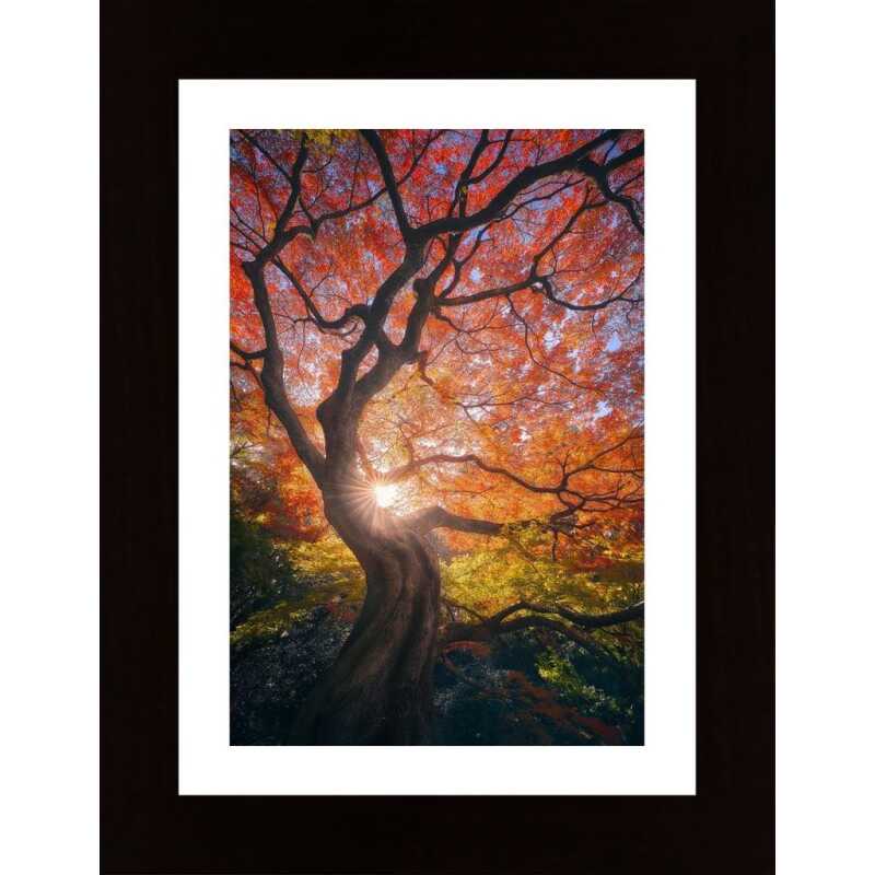The Japanese Tree Poster