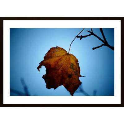 The Last Leaf Poster