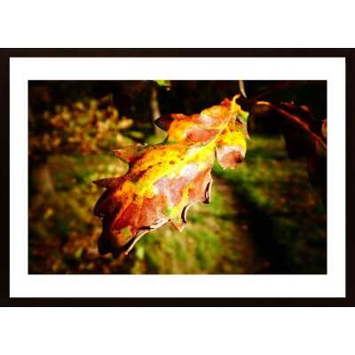 The Last Of Summer Poster
