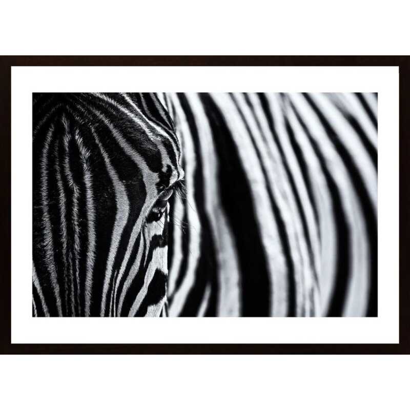 The Look Of Nature Poster