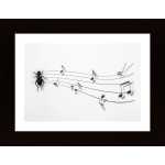 The Music Of Nature Poster