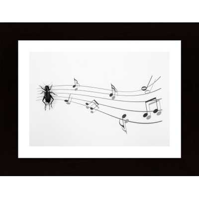 The Music Of Nature Poster
