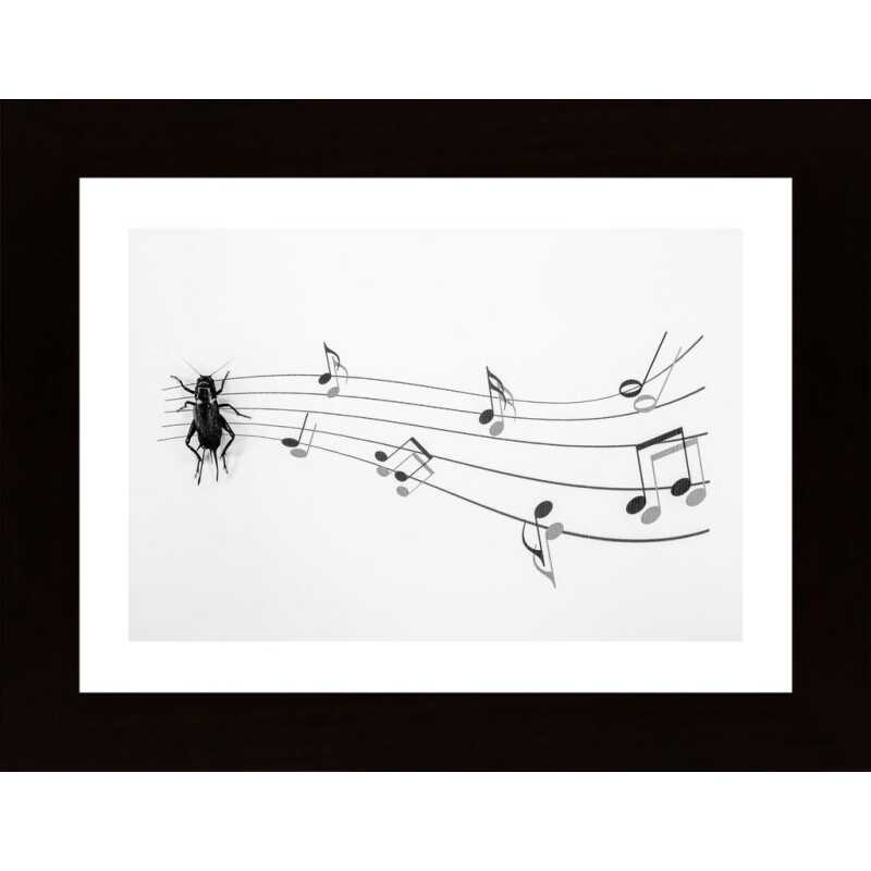 The Music Of Nature Poster
