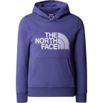 The North Face Boys' Drew Peak Pull-Over Hoodie Cave Blue