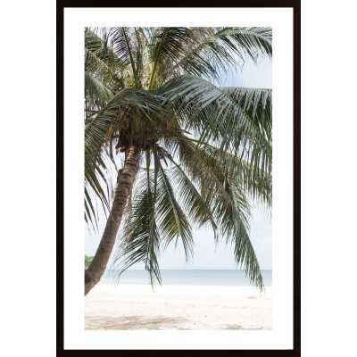 The Palm On The Beach Poster