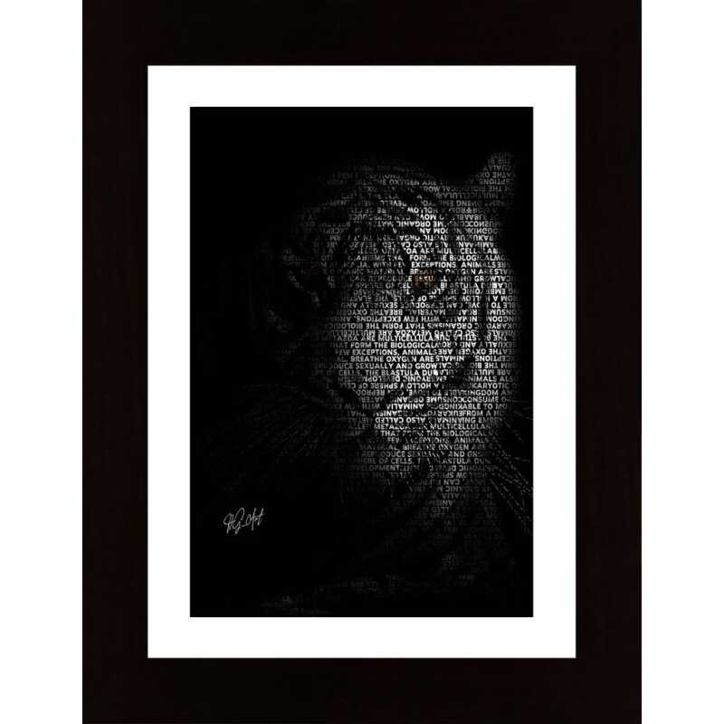 The Tiger Poster