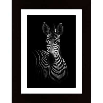 The Zebra Poster