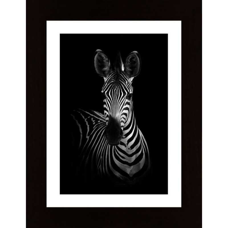 The Zebra Poster