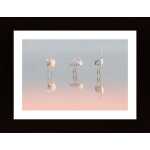 Three Flamingos Poster