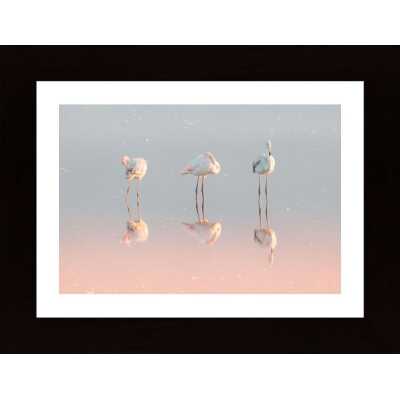 Three Flamingos Poster