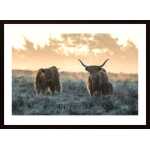 Three Highlanders Poster