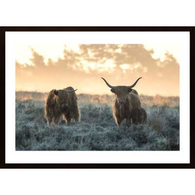 Three Highlanders Poster
